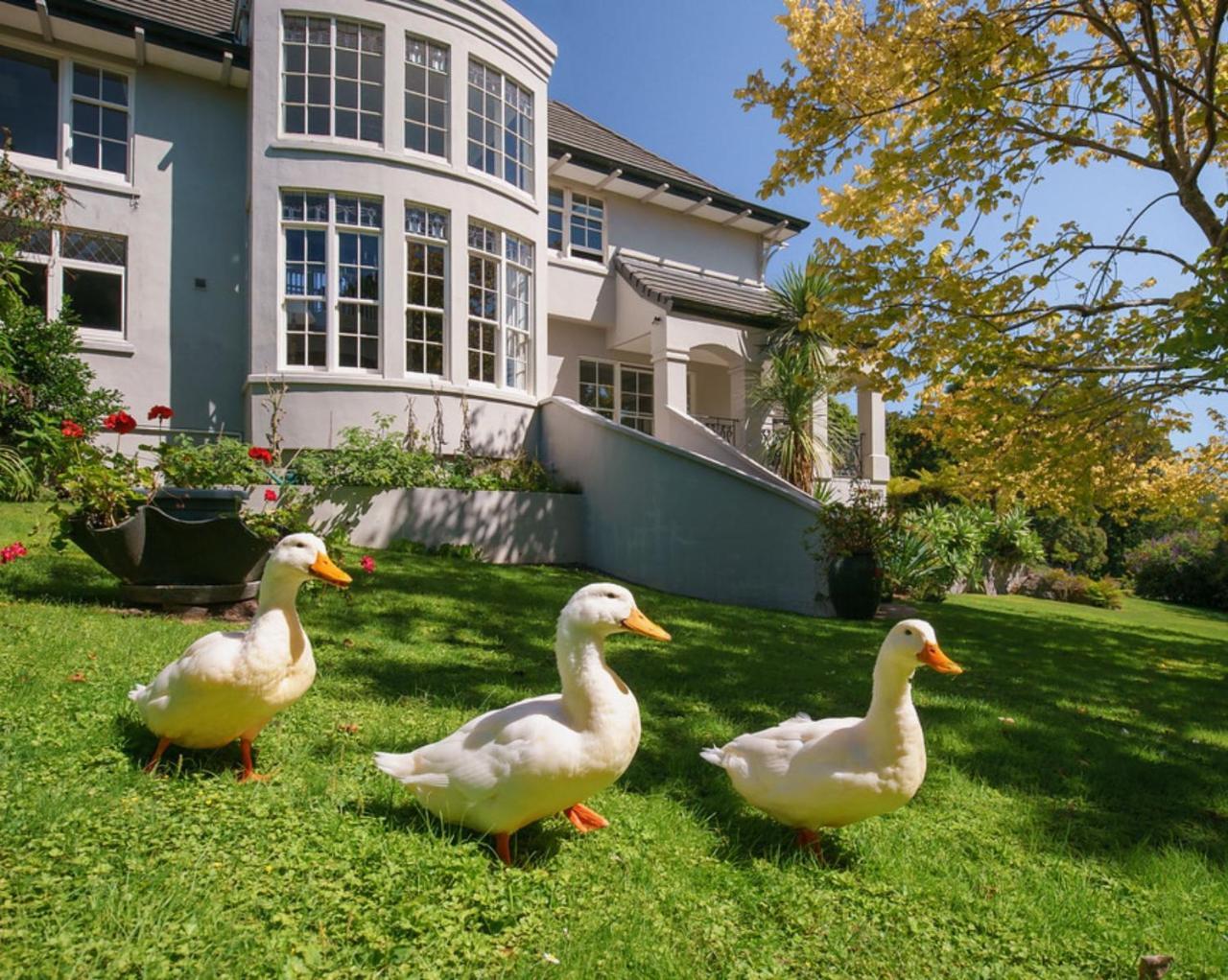 Greenmantle Estate Hotel Paraparaumu Ngoại thất bức ảnh