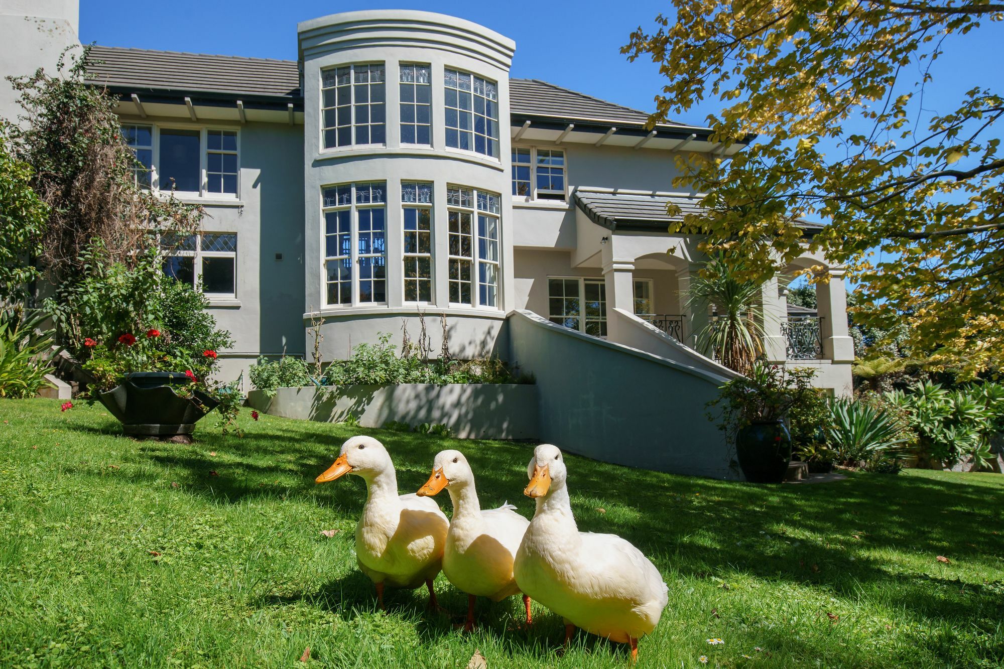 Greenmantle Estate Hotel Paraparaumu Ngoại thất bức ảnh
